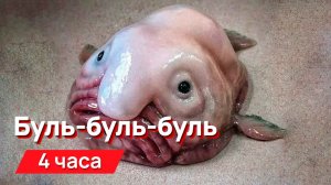 Звуки для соседей - Буль-буль-буль