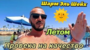 Отель БЕЗ ДЕТЕЙ в Египте. Стоит ли переплачивать за Pickalbatros Royal Grand Шарм Эль Шейх. Хадаба