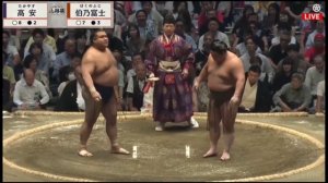 Nagoya Basho 2026 – Makuuchi Division Day 11 All Bouts! (Natto Sumo Version) Сумо на русском