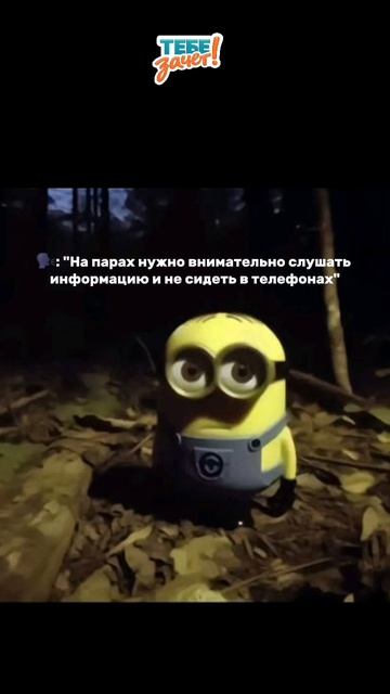 Сессия рядом? «Тебе зачёт!» поможет закрыть учебные долги! Почта: Zakaz@tebezachet.ru #рекомендации