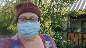 Дача. Собрали урожай. Обработали капусту и свёклу. Подкормили ягодные.