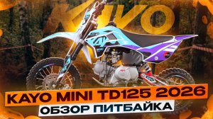 ОБЗОР KAYO Mini TD125 14/12 — ЛЮБИМЫЙ ПИТБАЙК ЮНЫХ ЧЕМПИОНОВ!