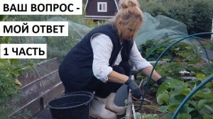 Ваш вопрос-мой ответ 1часть 2026.