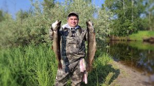На реке Вынгапур щуки и окуни.