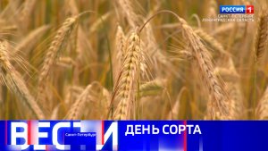 Вести Санкт-Петербург. Выпуск 21.10 от 22.07.2026