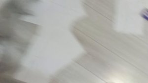 196.mp4