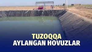 🍿 Mirzacho'ldagi uch qiz fojiasi: oldini olish mumkinmidi?