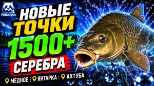 🤑 ТОП-4 ТОЧКИ ФАРМА РР4 (22.07)! СВОДКА по ВОДОЕМАМ РР4  Фарм СЕРЕБРА! МЕДНОЕ • ЯНТАРКА • АХТУБА