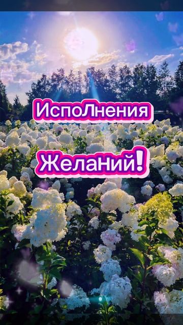 Чудесного Денёчка!