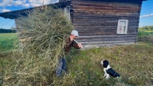 Забытый способ дедов. Что клюёт у таёжной избы?
