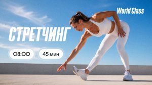 СТРЕТЧИНГ с Альбертом Даниловым | 22 июля 2026 | Онлайн-тренировки World Class