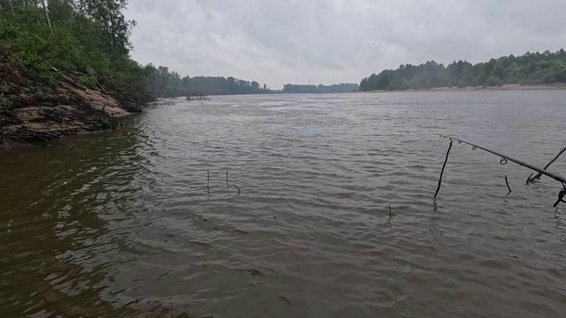 🔺️🎣ОТКРЫТИЕ НА КИЕ 2026🎣🔺️fishing#туризм#природа#ловля#рыбалка#щука#ловлящуки#ночевка#Чулым#река смотреть онлайн