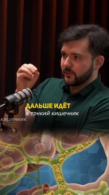 Связь кишечника с детоксикацией