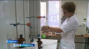 Как проверяют качество зерна на Ставрополье