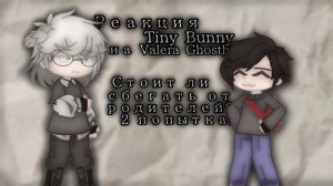 Реакция на Антона как Валера Гостер / Персонажи игры Tiny Binny / Гача реакция / Valera Ghosther