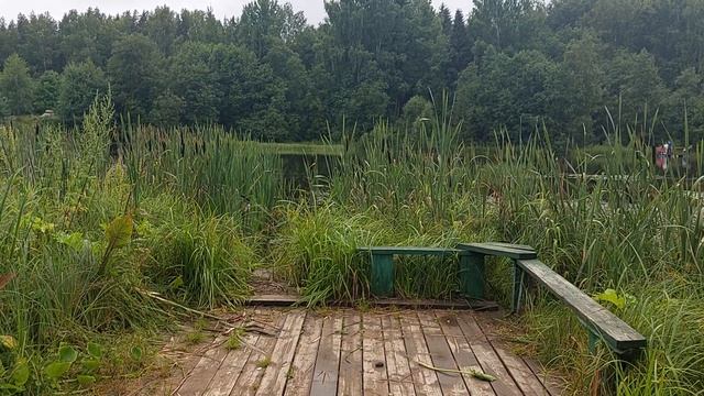 Тихвин. Смоленский шлюз (21.07.2026)