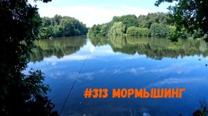 #313 Мормышинг на коротке 22 июля 2026