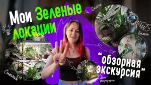 💚ОБЗОРНАЯ экскурсия🔍 ЗЕЛЕНЫХ ЛОКАЦИЙ моей квартиры: Стеллаж, цветочная стойка, балкон, флорариум