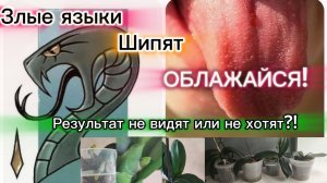 Только и ждут, чтобы я облажалась, хотят уколоть. А результат то есть!
