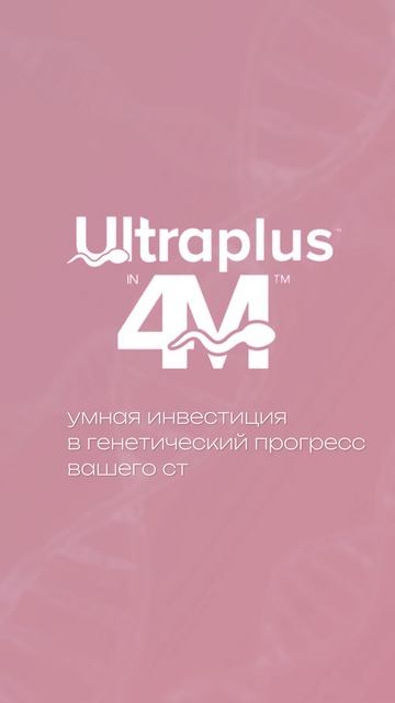 Продукты и технологии