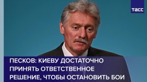 Песков: Киеву достаточно принять ответственное решение, чтобы остановить бои