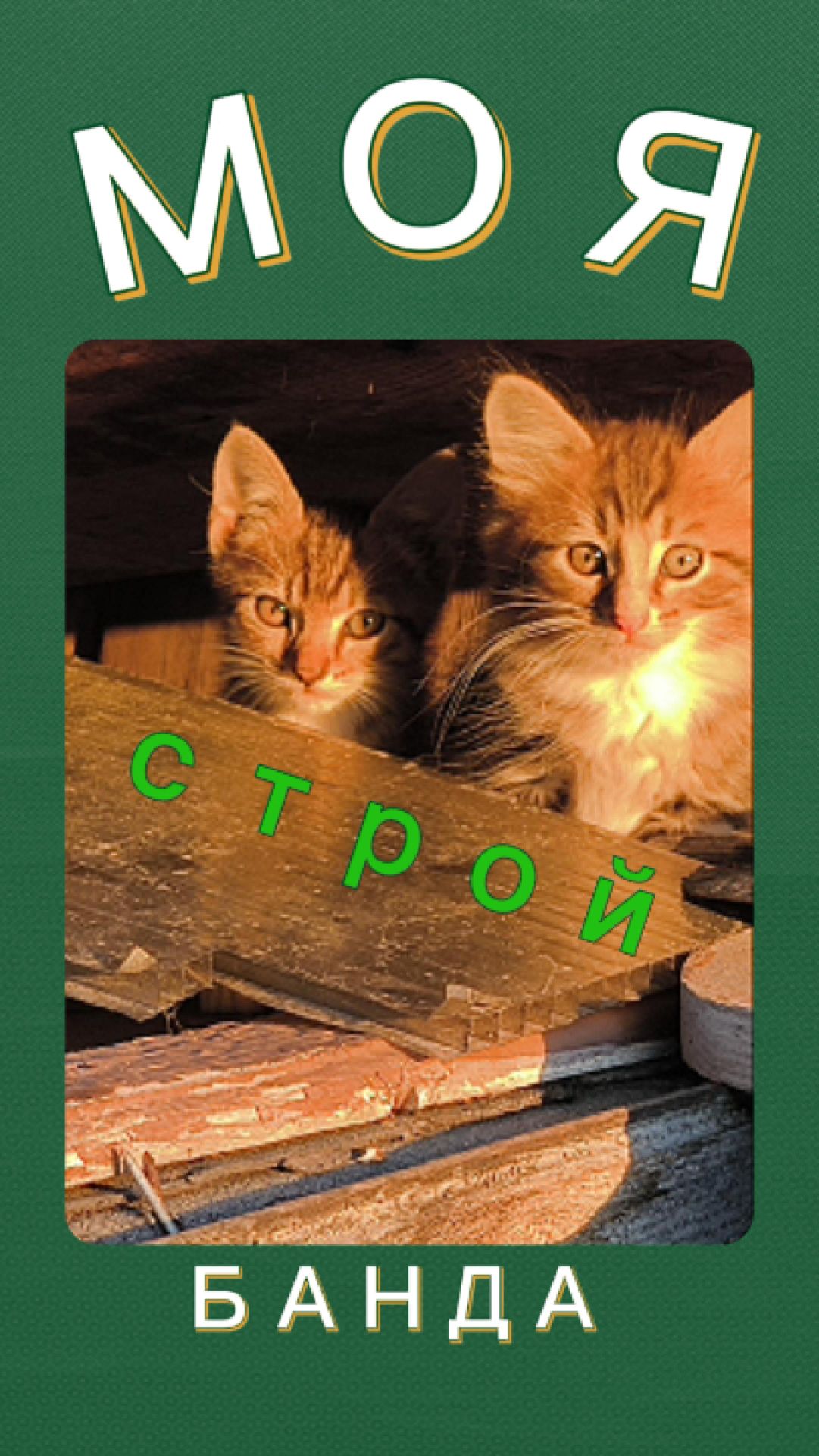 Моя строительная банда.