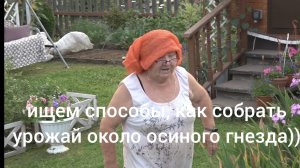 Вечер 21 июля 2026 года на 6 сотках. Ночь на даче в грозу втроём))