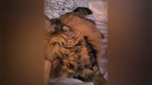 Трактовка приснившейся мне совушки с оглядкой на ИИ (совы не то, чем кажутся) смотреть онлайн