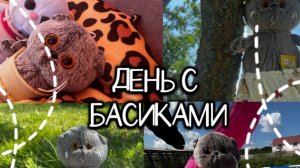 День с басиками|Басики на даче|Мультик для детей