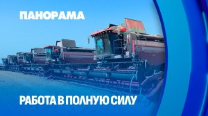 Главное внимание - сохранности урожая! О командной работе в полях. Панорама