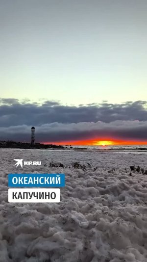 Океанский капучино