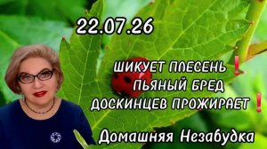 ШИКУЕТ ПЛЕСЕНЬ❗️Пьяный бред ДОСКИНЦЕВ прожирает❗️