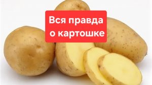 Картошка это полезно или нет?