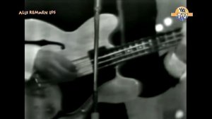 Wayne Fontana & The Mindbenders - Game Of Love  (1965) 192tv