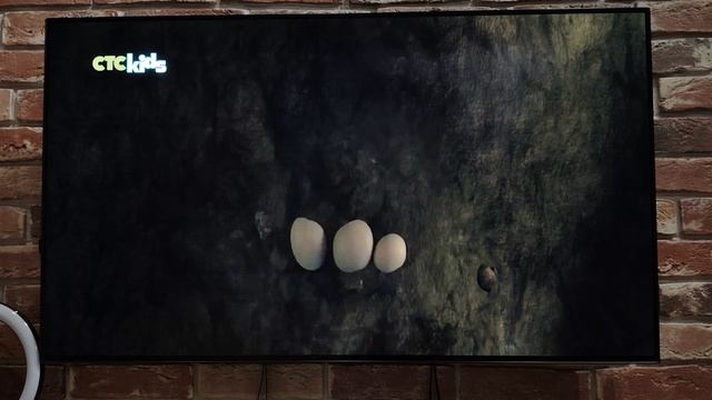 Отряд джунглей спешит на помощь 3 сезон: последняя пещера слева смотреть онлайн
