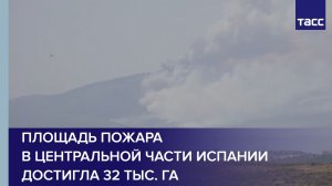 Площадь пожара в центральной части Испании достигла 32 тыс. га