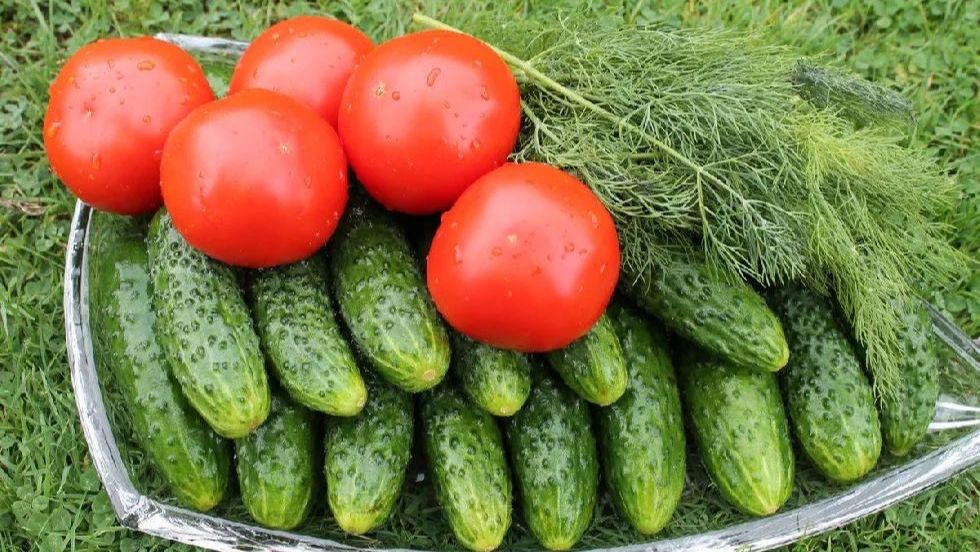 21 июля. Жара! Что на грядках? смотреть онлайн