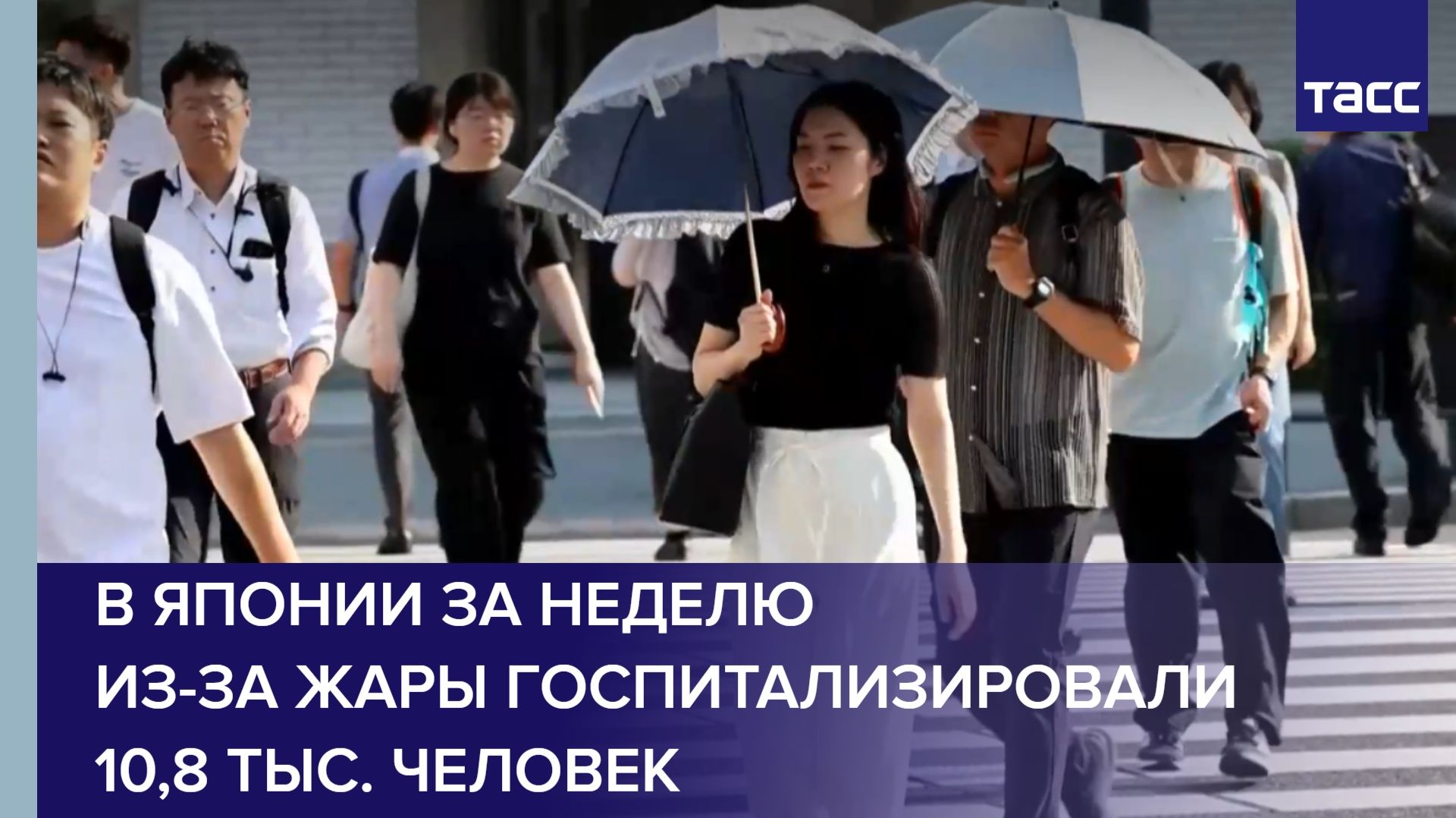 В Японии за неделю из-за жары госпитализировали 10,8 тыс. человек смотреть онлайн