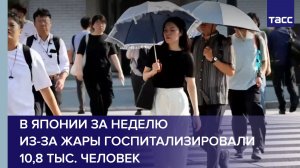 В Японии за неделю из-за жары госпитализировали 10,8 тыс. человек