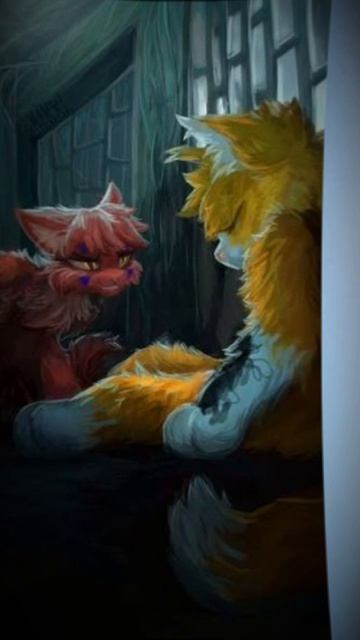 ❤❤