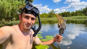 24 Часа на Подводной охоте! Лесная кухня Вау! Забрал проверил вершы а там уловище