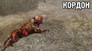 Дикий Кордон - STALKER Dead Air Metro #5