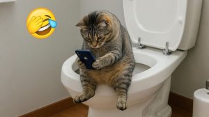 Самые смешные собаки и кошки 2026 года😼🐶Постарайся не засмеяться😜