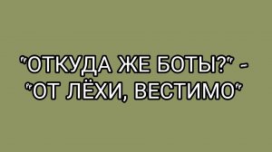 Кто крутит ботов ДОМОСЕРУ и БУЛКЕ?!
