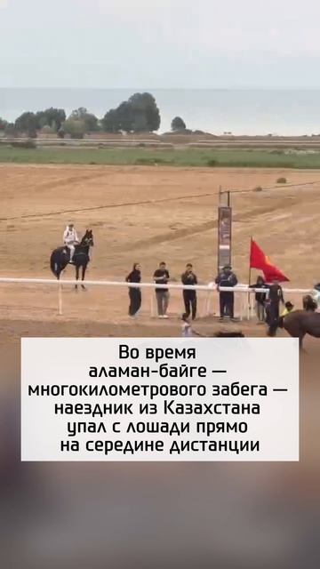 Не соперники, а друзья Не соперники, а друзья