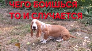 1373 Чего больше всего боишься То и Случается.Городские.Жизнь в станице.