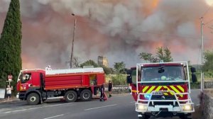 Из-за лесных пожаров во Франции выгорело уже более 42 тысяч гектаров территории.