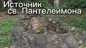 Посетили источник св. Пантелеймона, погуляли по лесу, как в фильме ужасов