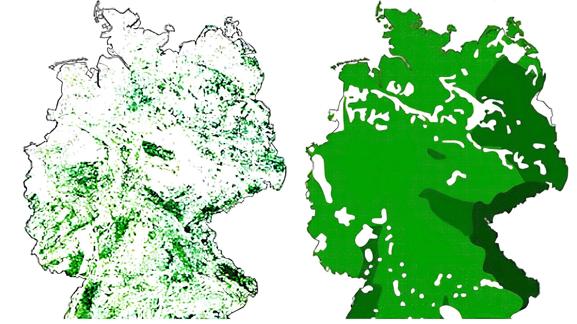 Die Wiederherstellung des deutschen Waldes in der neuen DDR! смотреть онлайн