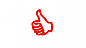 Paint net.webp